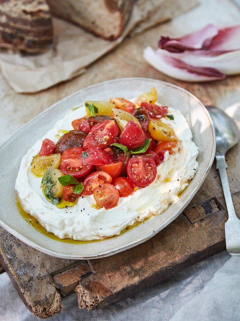 Labneh ricotta dip with tomatoes and herbs