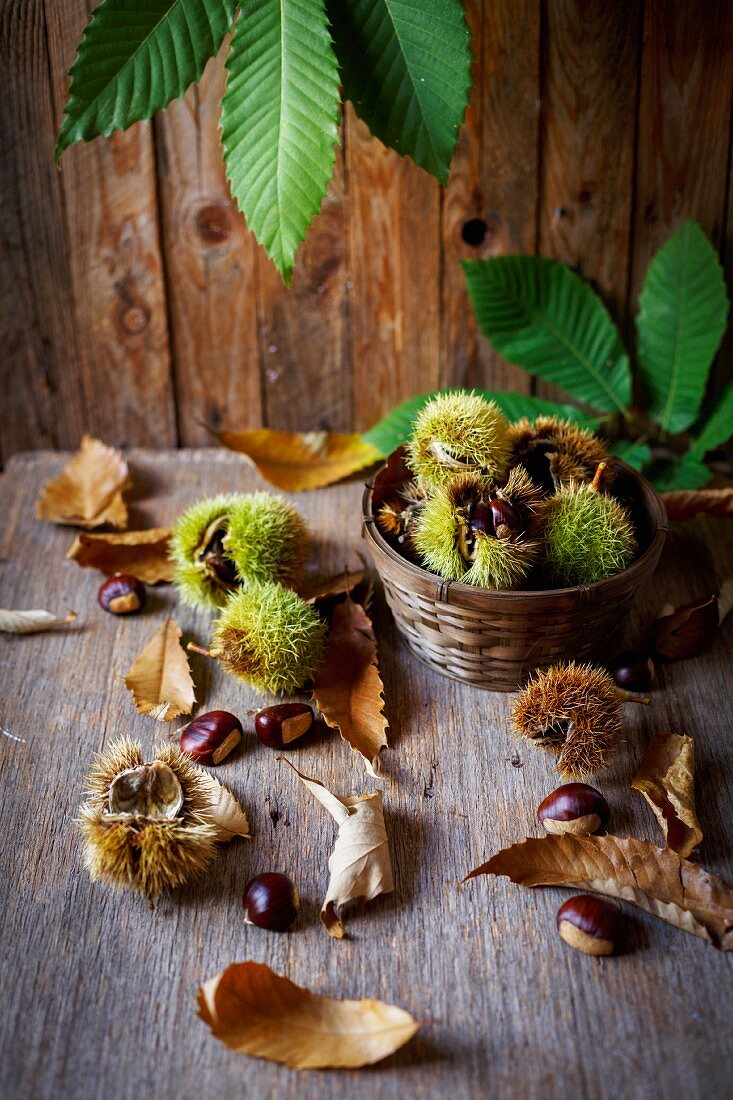 Chestnuts on a wooden background