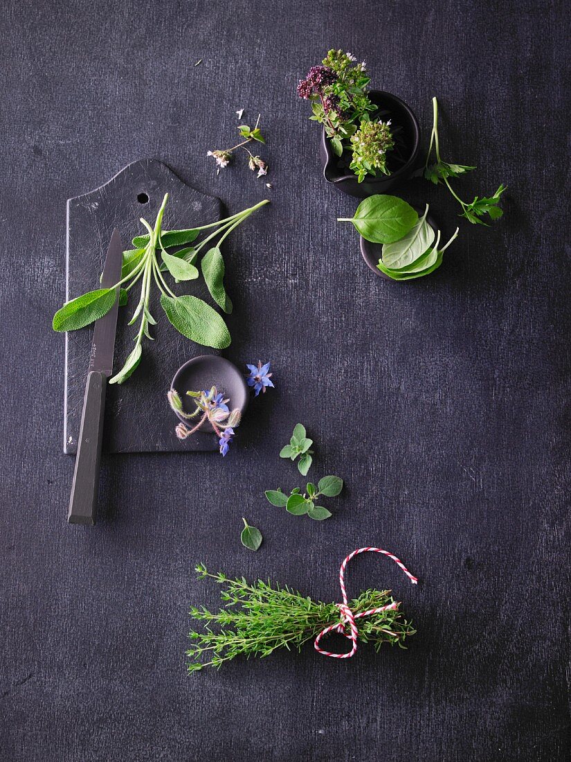 Various herbs on a dark background