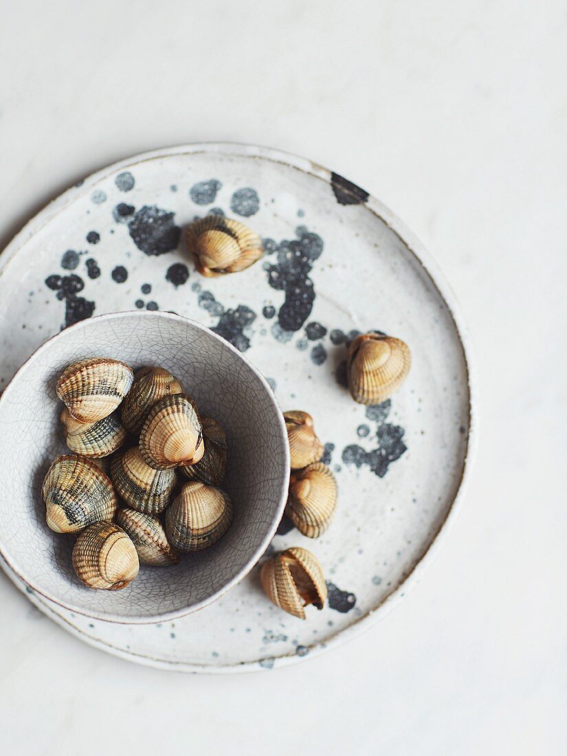 Raw clams on a plate and in a bowl