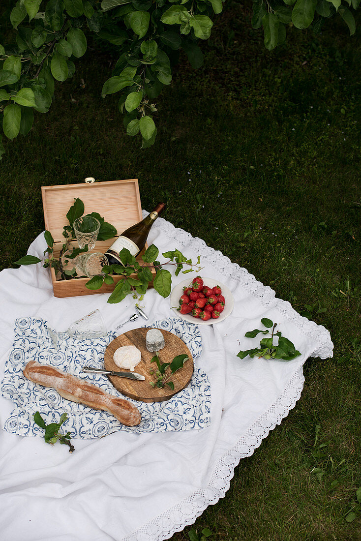 Picknick mit Käse, Baguette, Erdbeeren und Wein