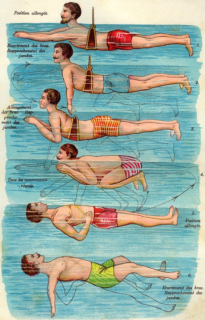 Swimming techniques, 19th Century illustration