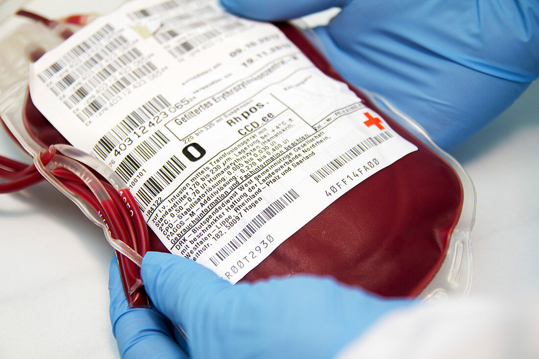 Donor blood analysis