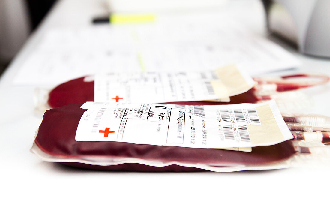Donor blood analysis