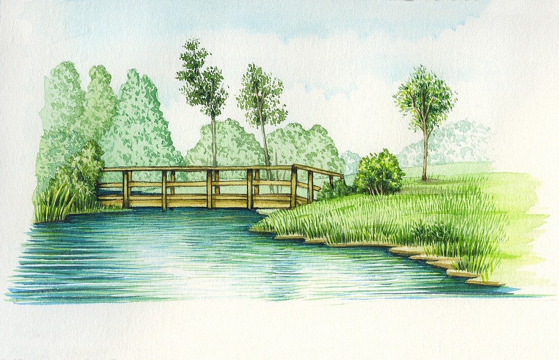 Bridge at Combe Mill, Oxfordshire, UK, illustration