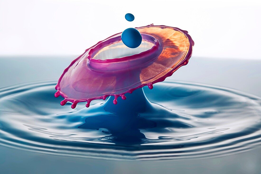 Water and milk drop impact, high-speed photograph