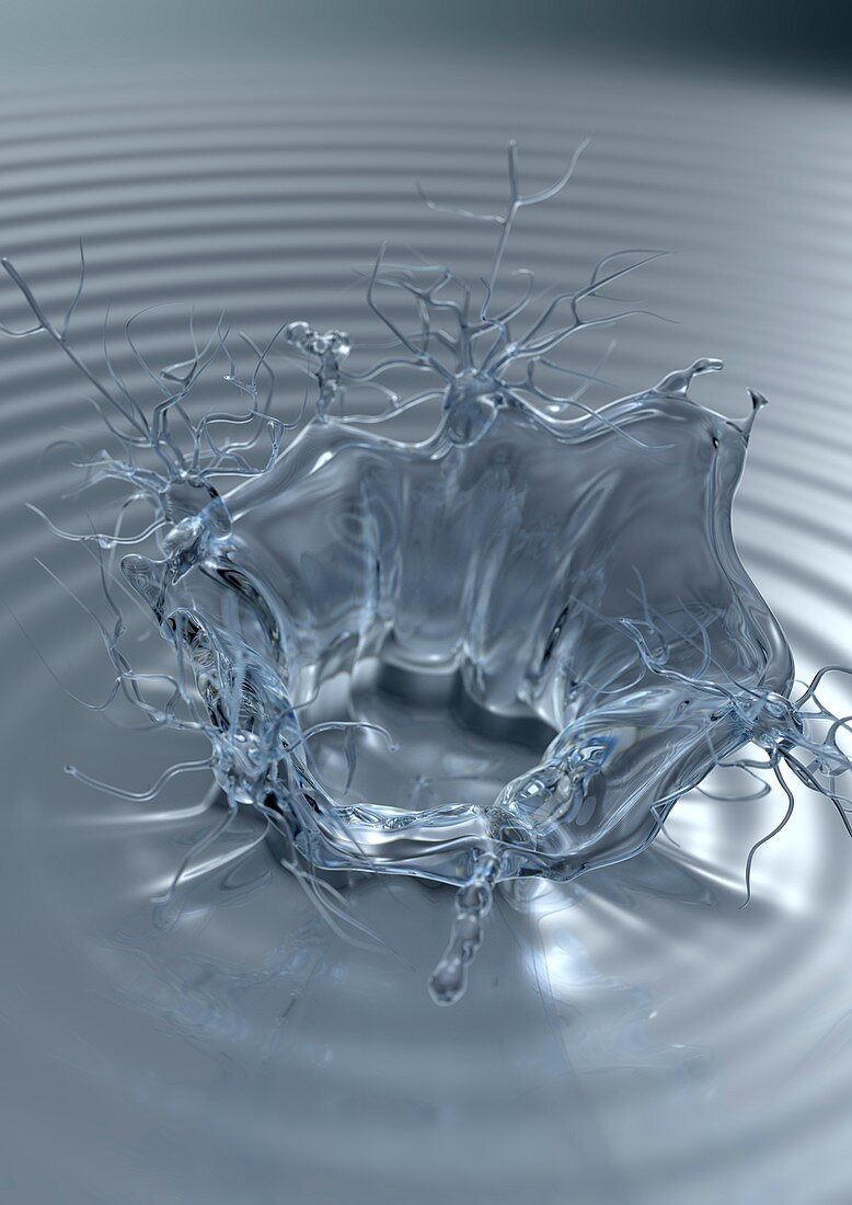 Thirst-regulating neurons, conceptual image
