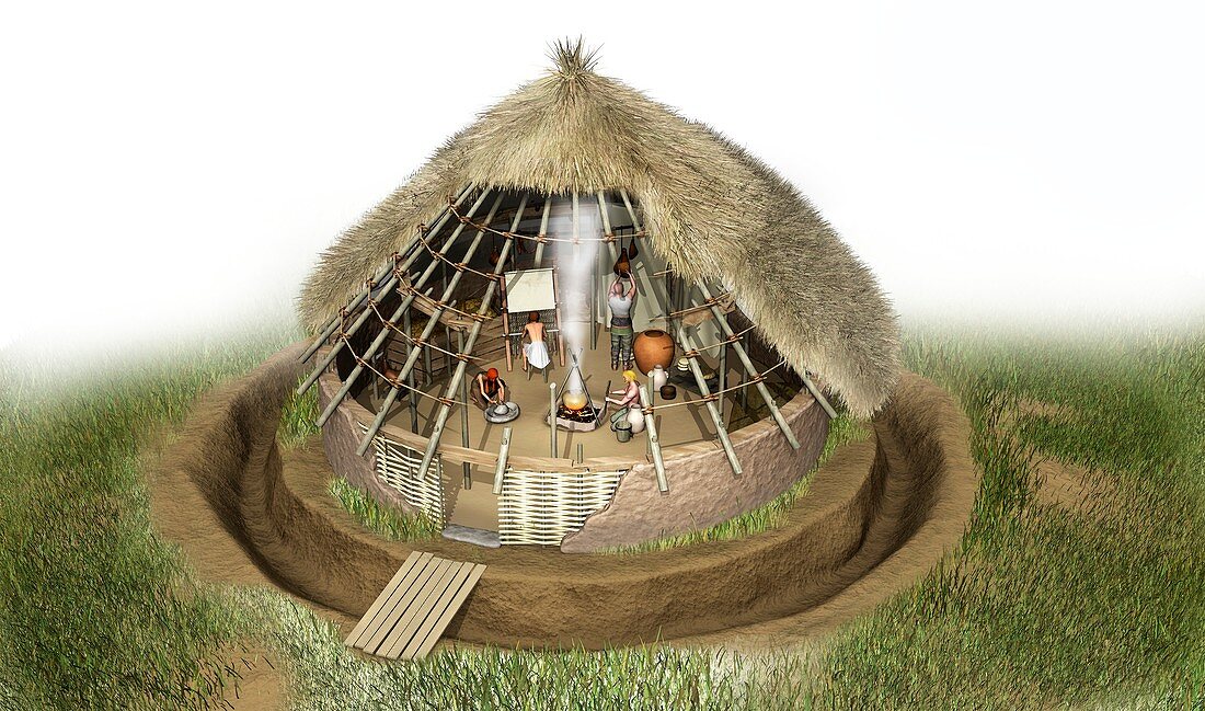 Celtic roundhouse, illustration