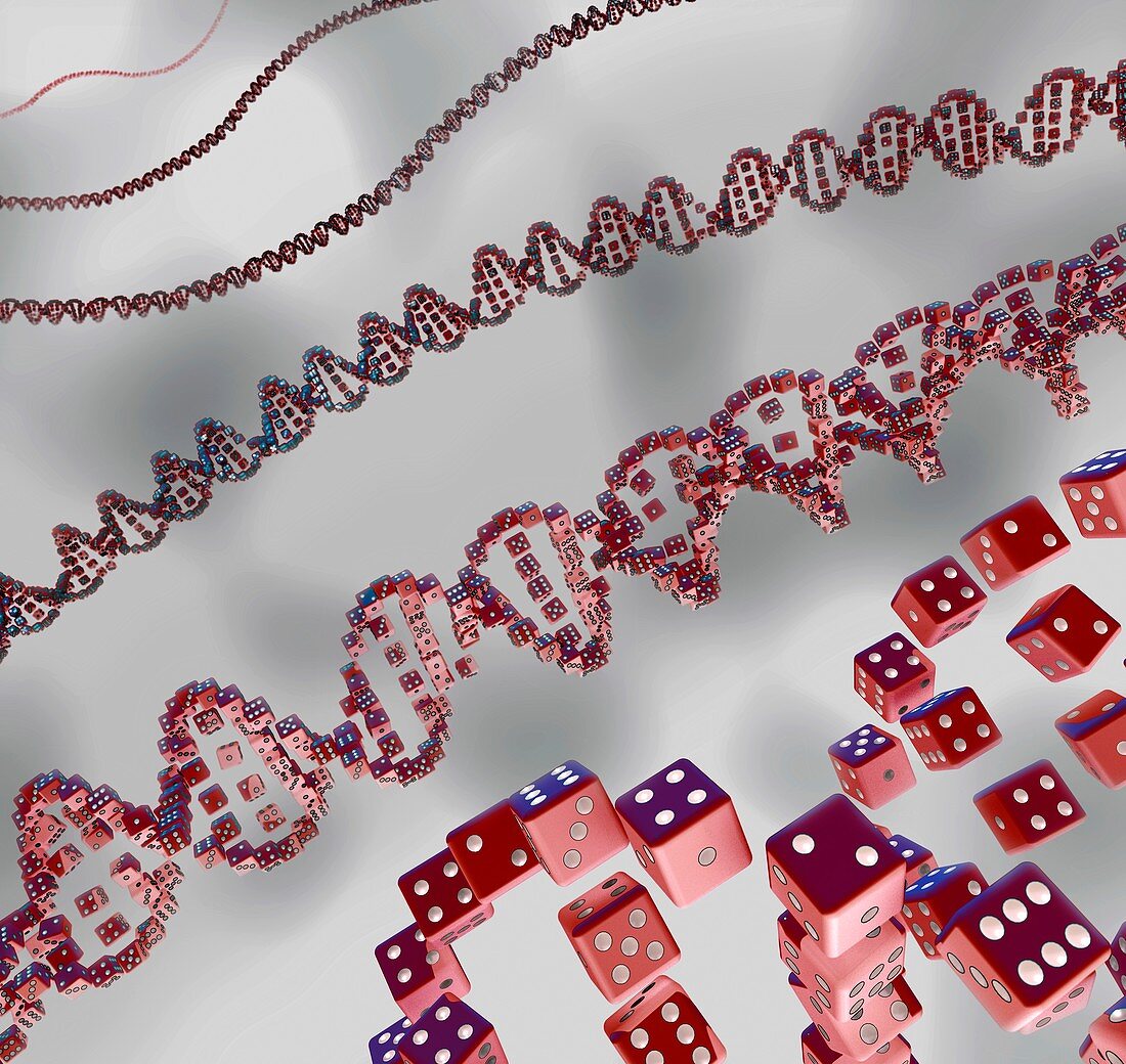 Genes and chance, conceptual illustration