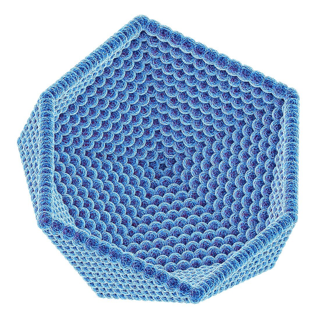 Icosahedral virus capsid, illustration