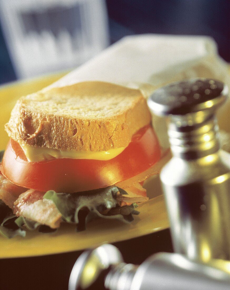 Ein Sandwich belegt mit Bacon, Tomaten & Cheddar