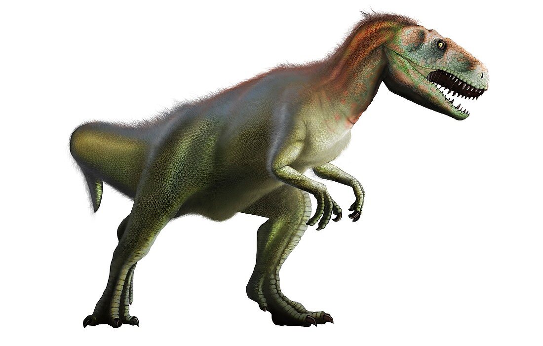 Artwork of Megalosaurus Dinosaur