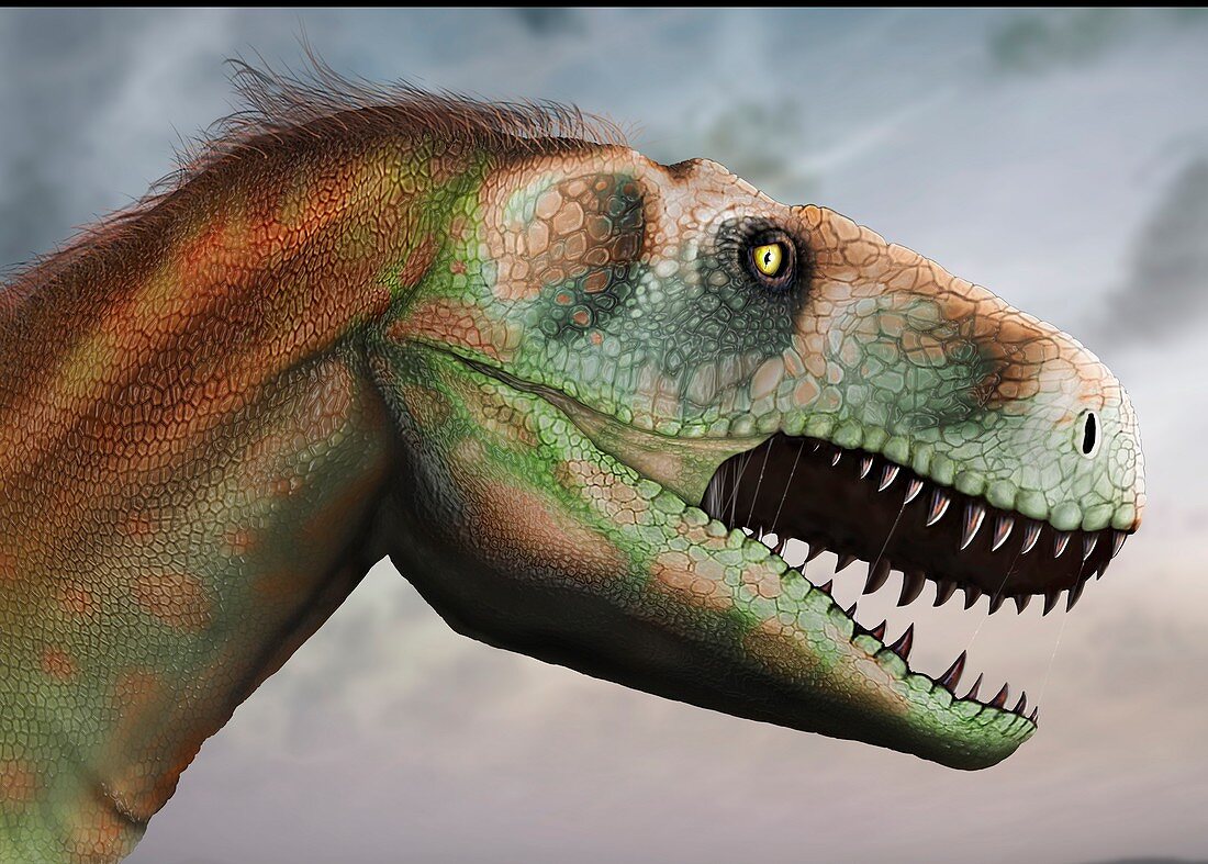Artwork of Megalosaurus Dinosaur