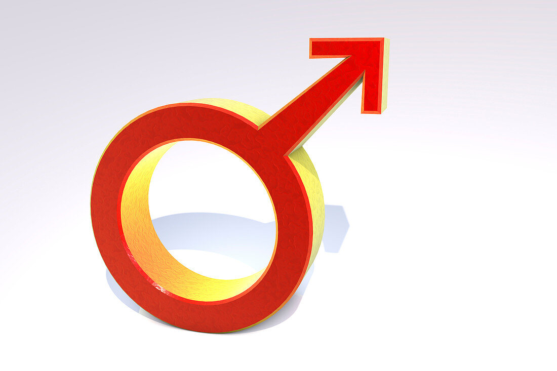 Male symbol, illustration