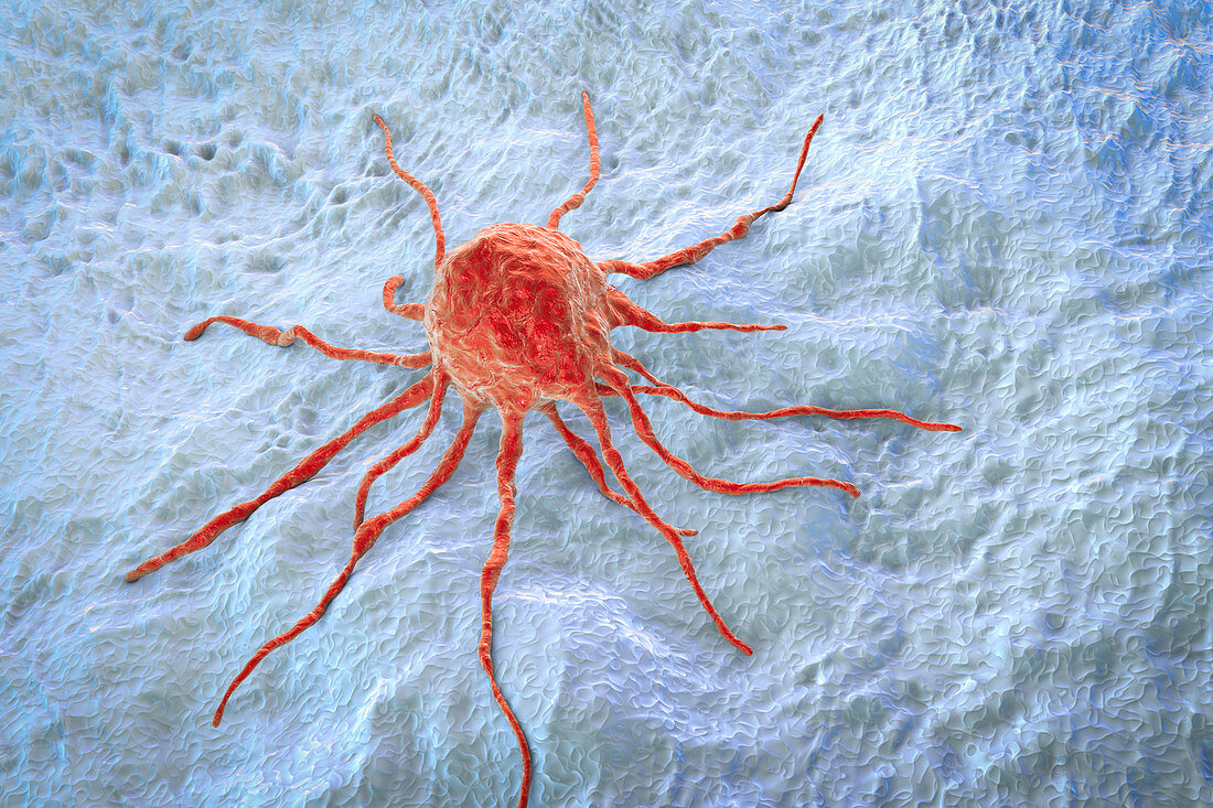 Cancer cell, illustration