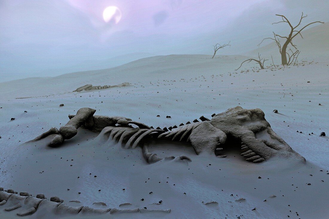 Dinosaur skeletons in the desert, illustration