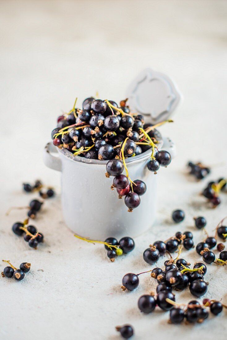 Fresh blackcurrants in a white ramekin