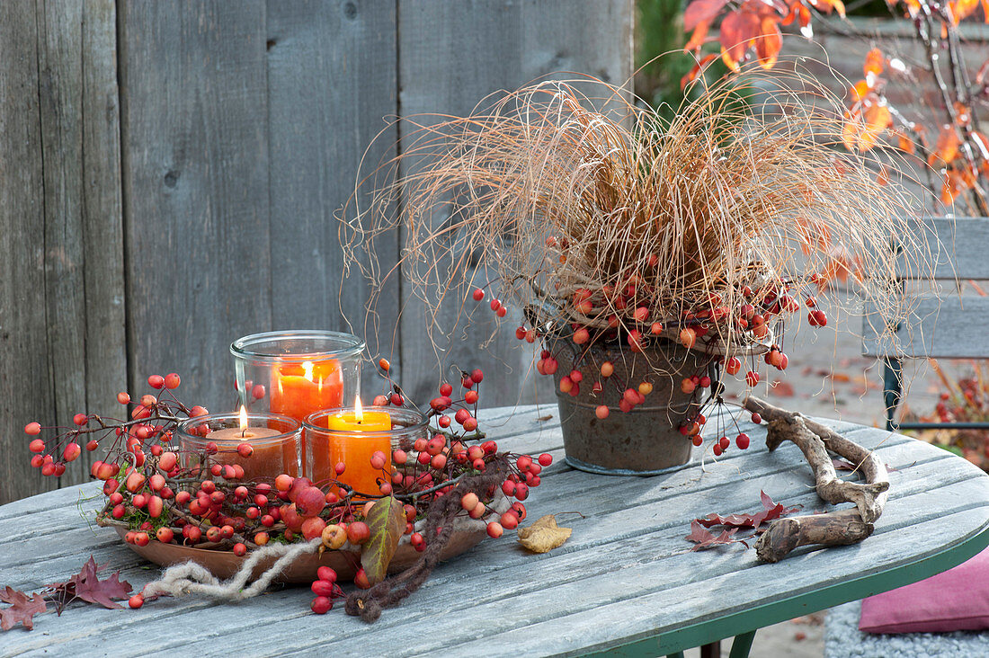 Wreath of malus branches with fruits and lanterns