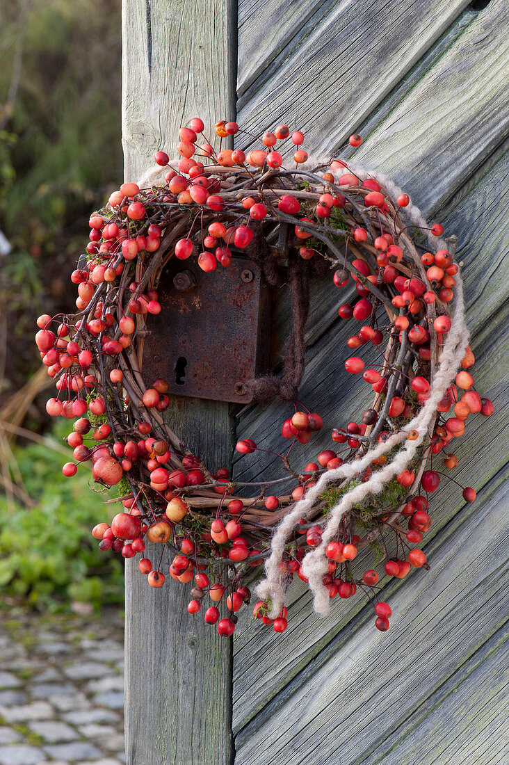 Wreath made of malus (ornamental apple) twigs with fruits
