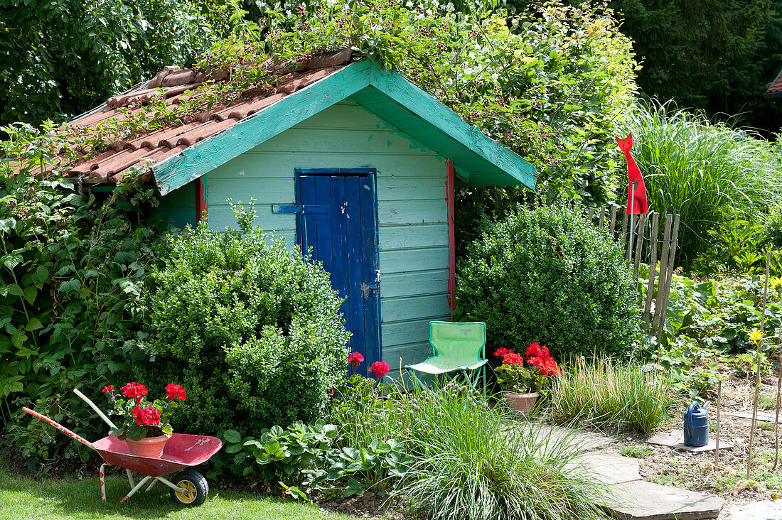 Small garden house in turquoise with blue door, Buxus (boxwood)