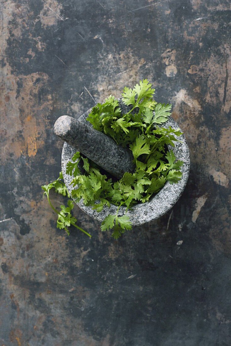 Fresh parsley in mortar