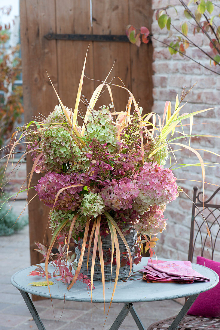 Autumn Hydrangea paniculata flowers bouquet