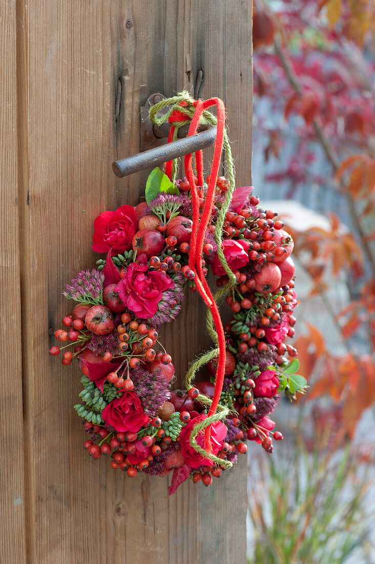 Red autumn wreath with roses (rose, rosehips), malus (ornamental apple)