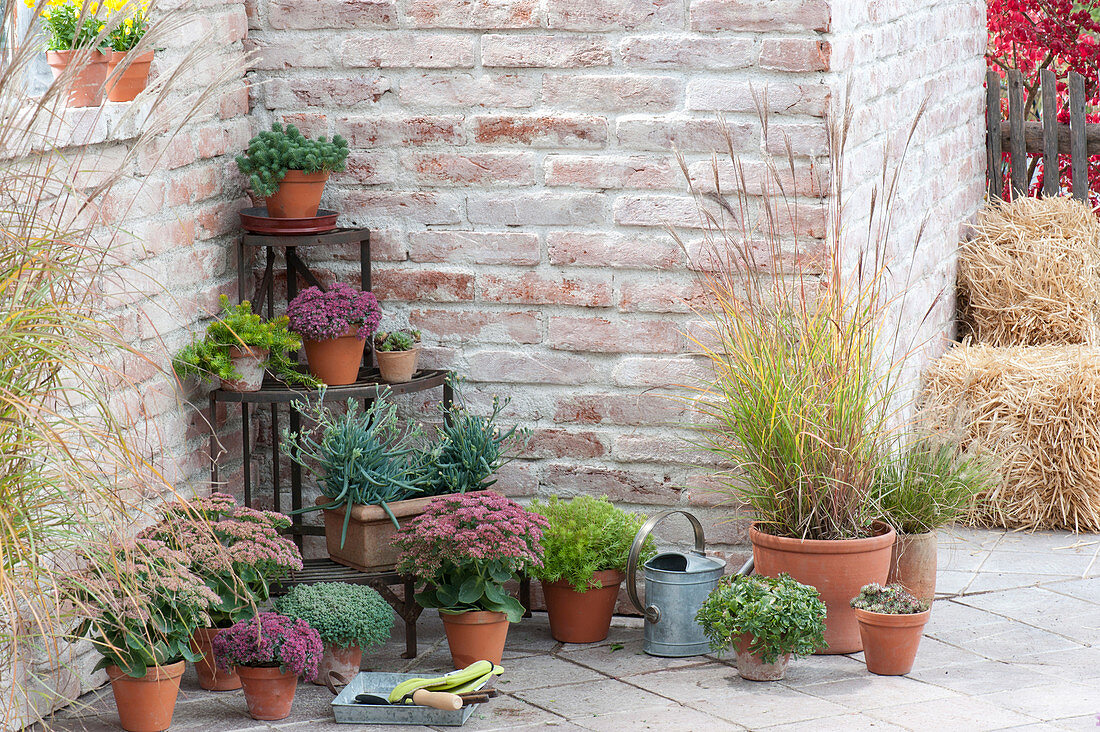 Herbstarrangement mit Treppenetagere :