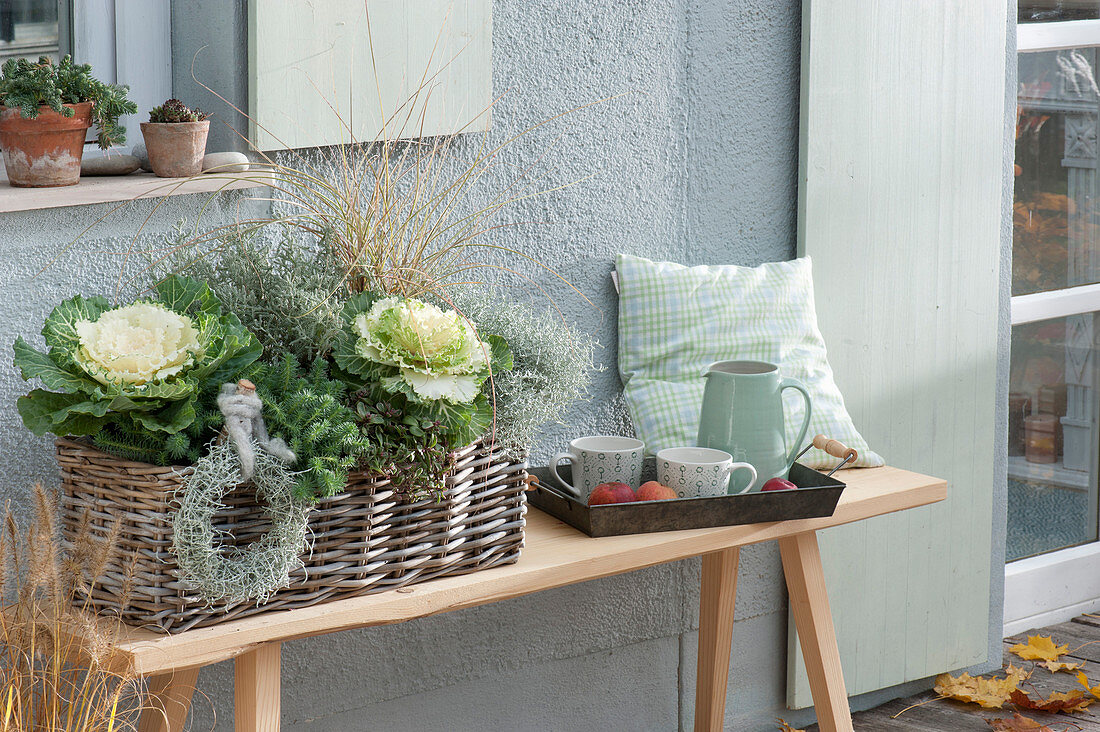 Basket with Brassica oleracea (cabbage), Sedum anopetalum