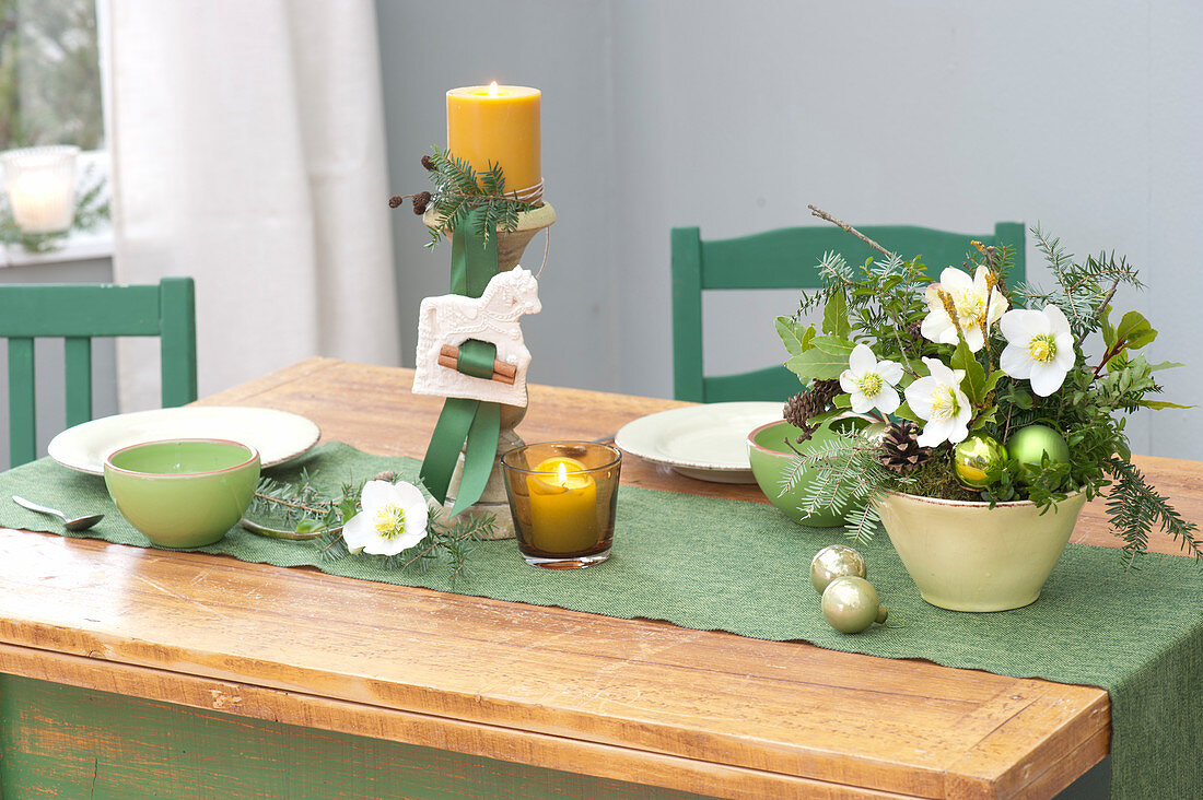 Christmas arrangement with Helleborus niger (Christmas rose)