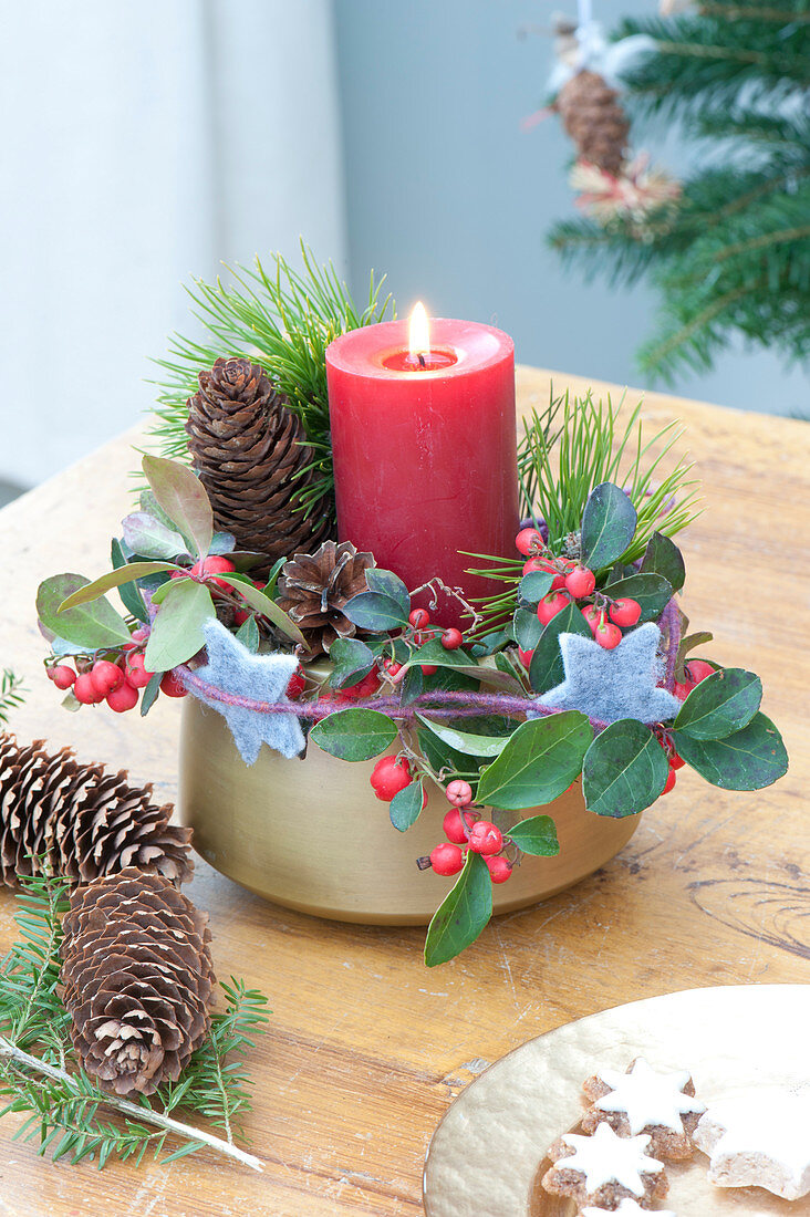 Small Advent arrangement with red candle, Pinus branches