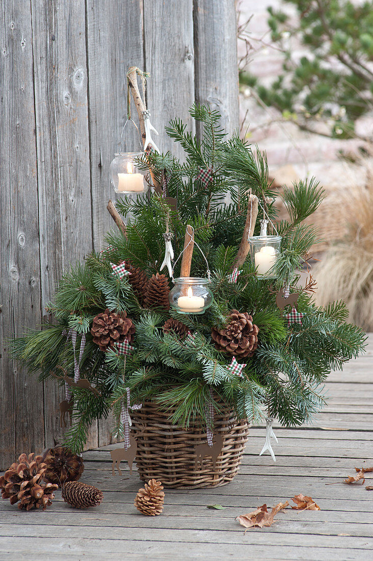 Bouquet of pinus (pine) and abies (fir) branches in the basket