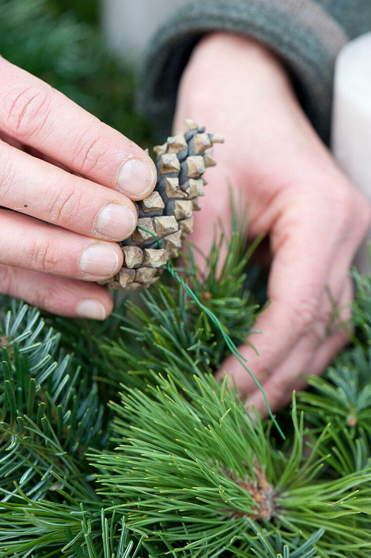 Natuerlichen Adventskranz aus Tanne und Kiefer binden :