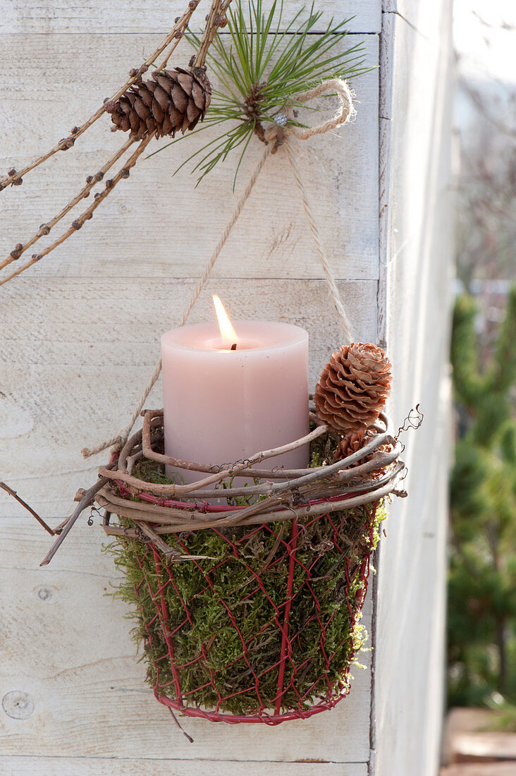 Candle in basket with moss, Parthenocissus tendril