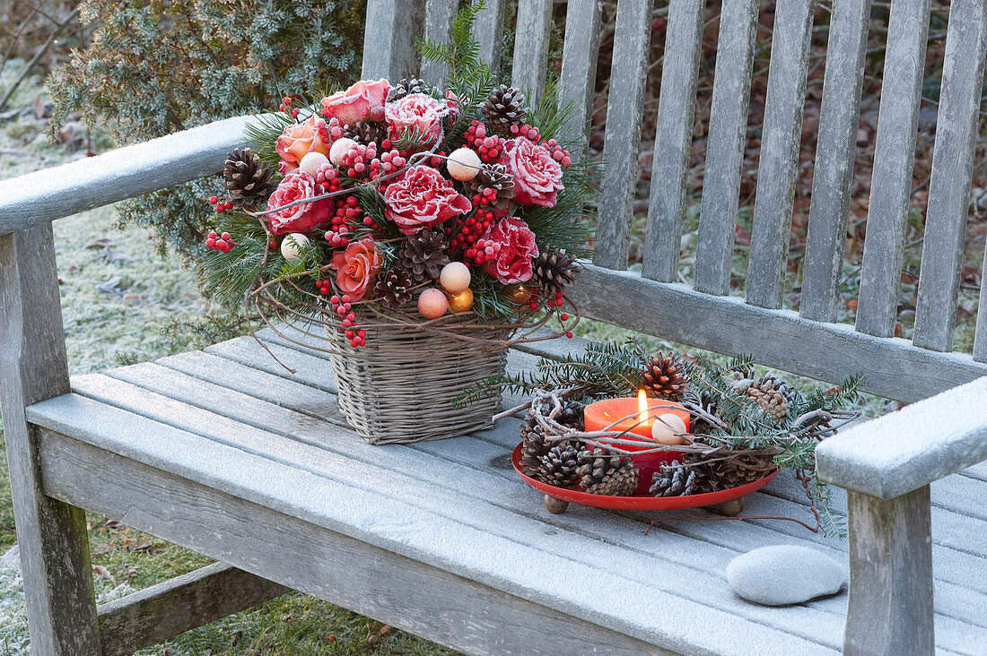 Frozen Christmas bouquet of Rosa (roses), Pinus (pine)