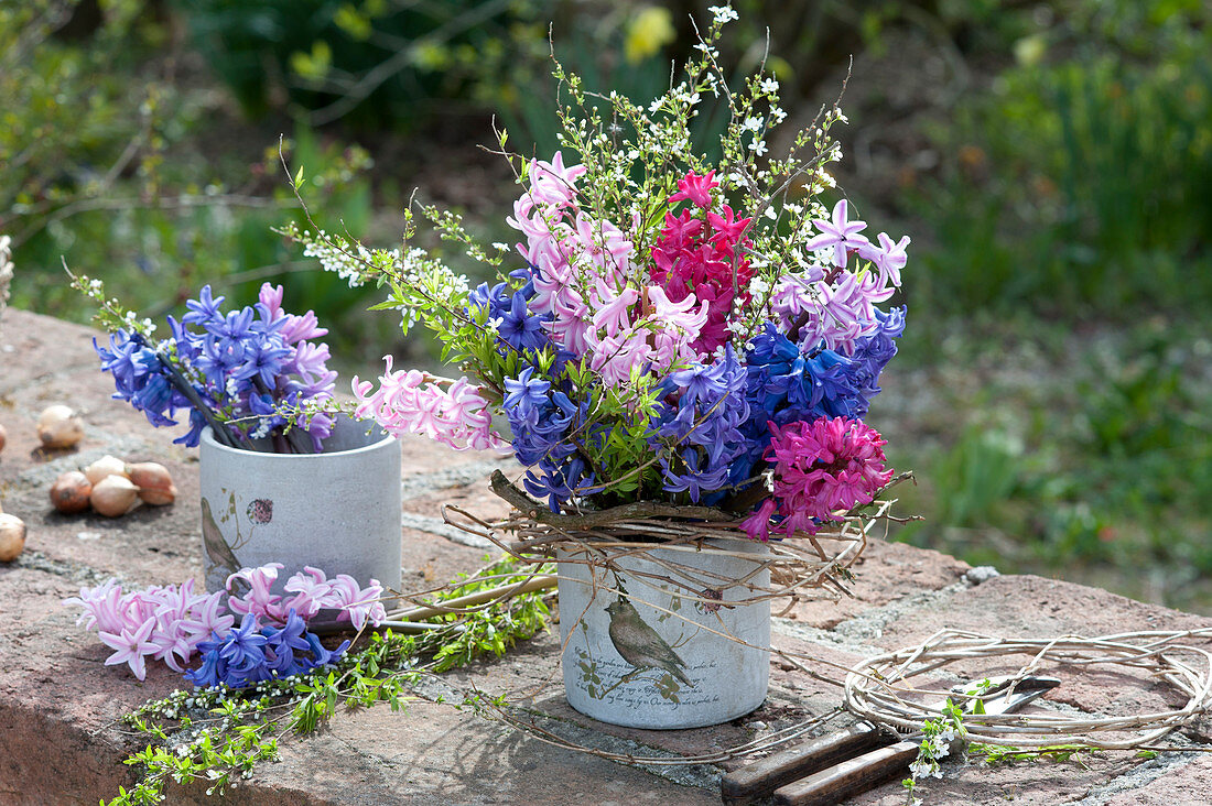 Hyacinthus ( Hyazinthen ) und Prunus spinosa ( Schlehe ) in Gefäßen