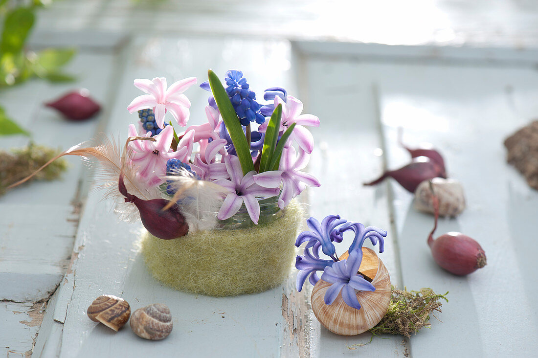 Kleines Gesteck in Glas mit Filzverkleidung : Hyacinthus ( Hyazinthen )