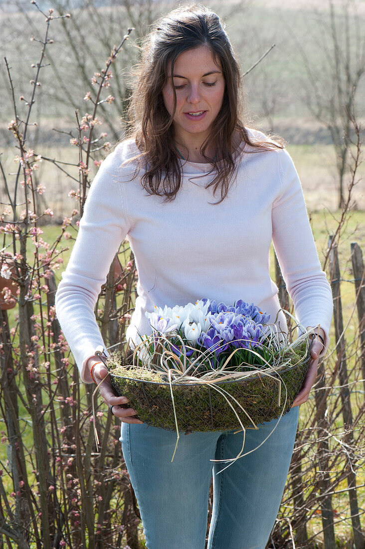 Frau bringt Korb mit Crocus ( Krokussen )