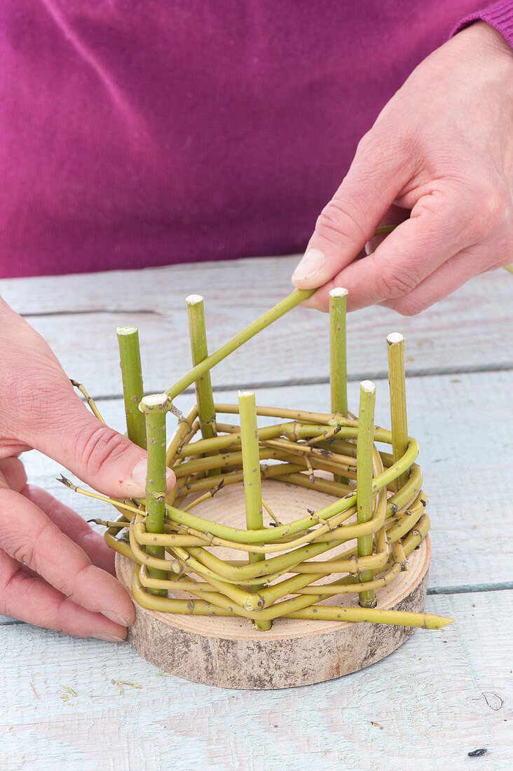 Selbstgemachte Übertöpfe aus Cornus - Zweigen :