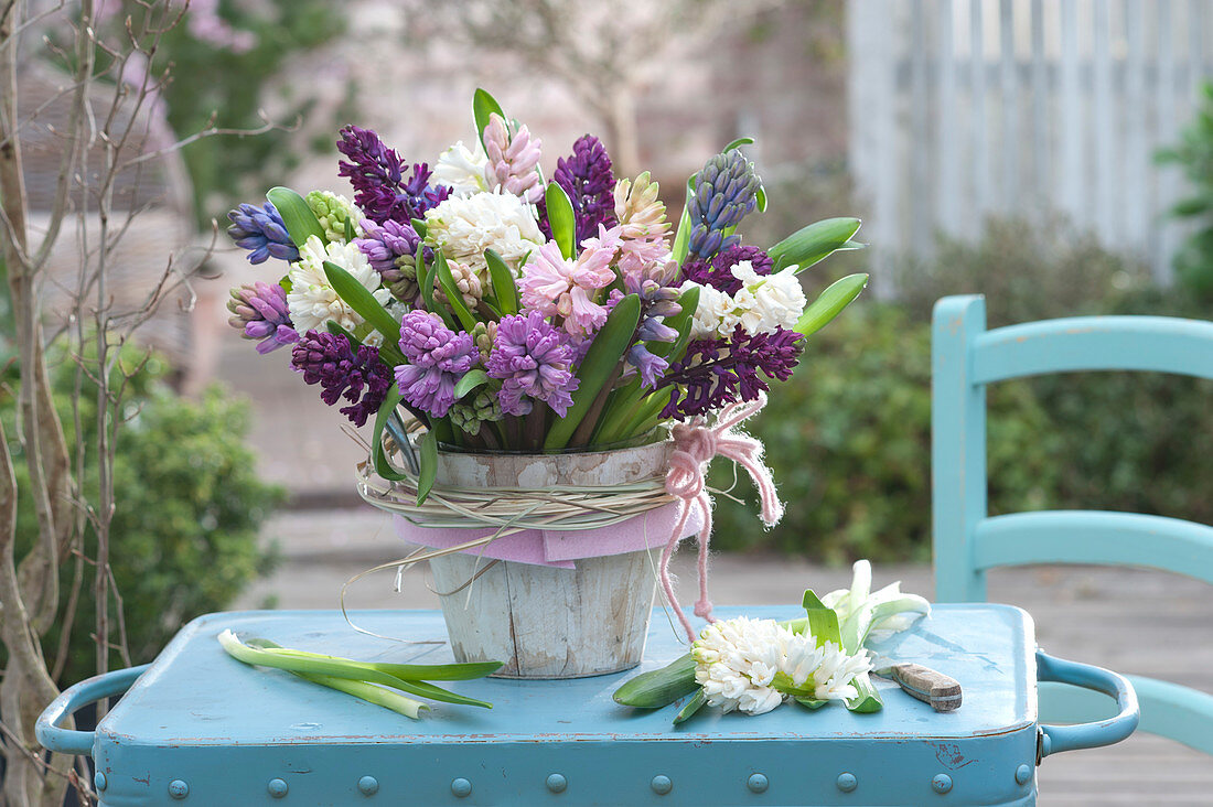 Üppiger Strauß aus Hyacinthus orientalis ( Hyazinthen )