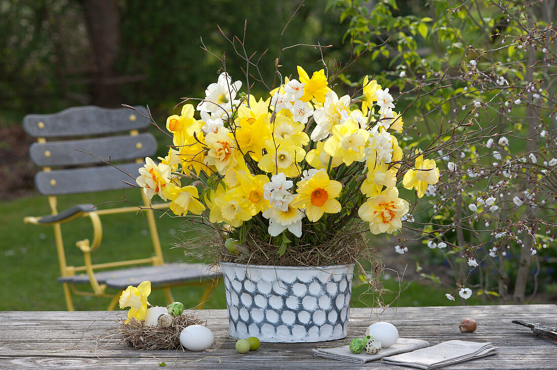 Narcissus bouquet decorated with twigs and bark