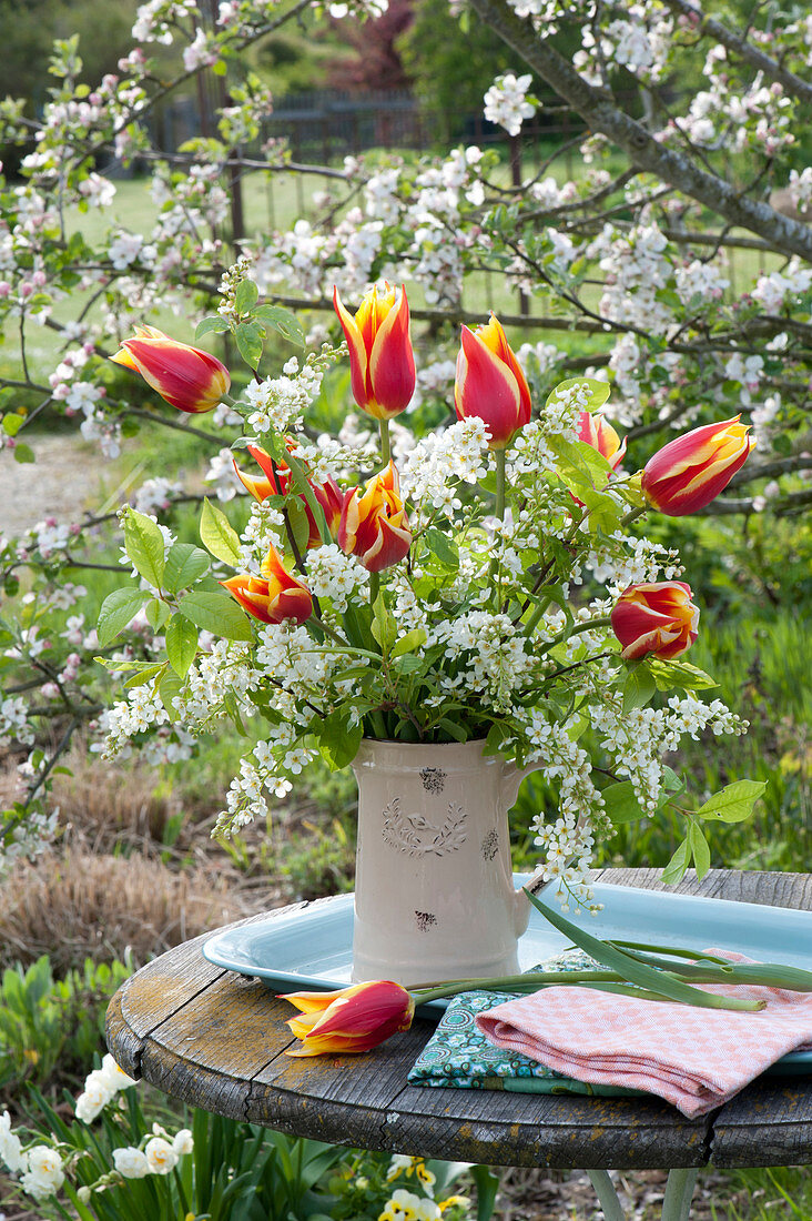 Spring bouquet in pitcher, Tulipa 'Synaeda King'