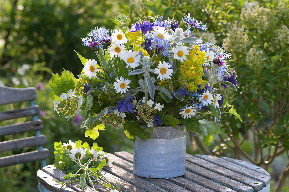 Bouquet of Leucanthemum vulgare, Viburnum opulus