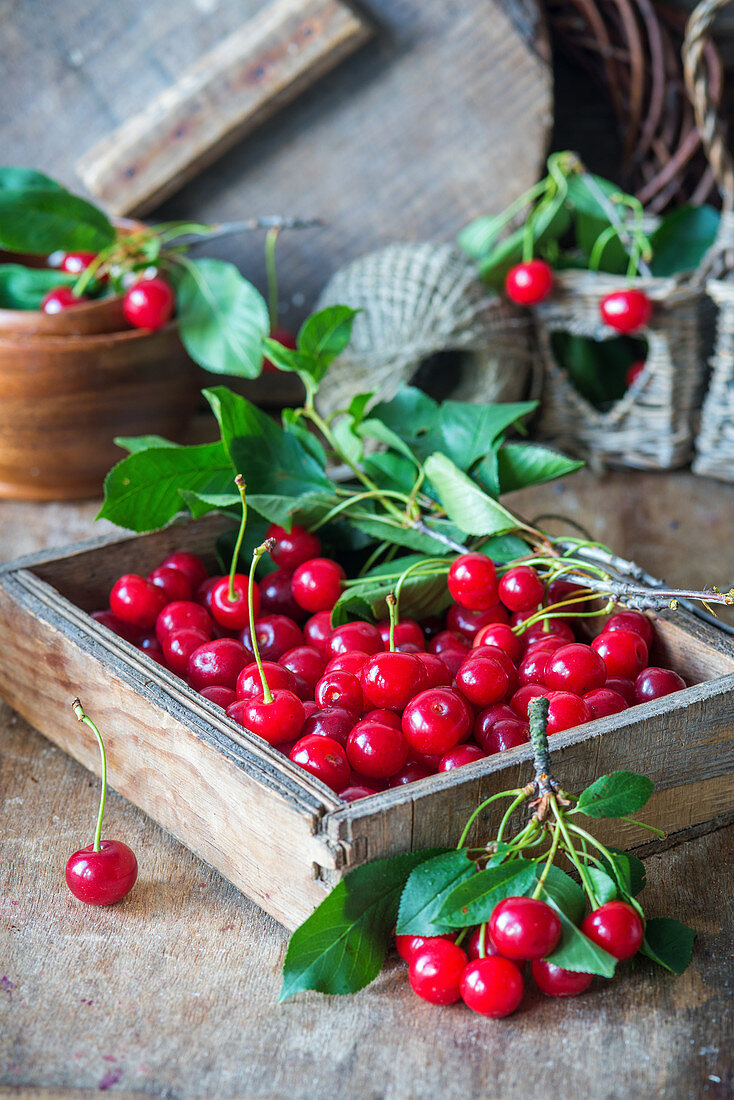 Sour cherries