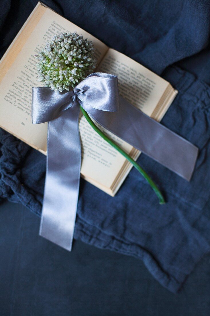 weiße Zwiebelblüte mit Satinschleife auf Buch