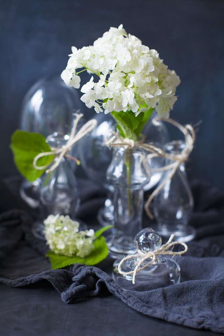 White hydrangea flowers in glass vases