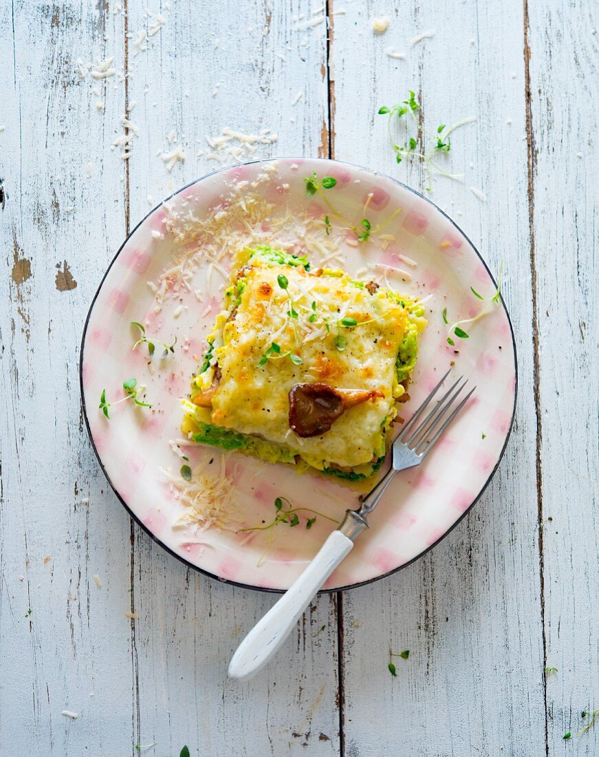 Zuckerhut-Lasagne mit Austernpilzen