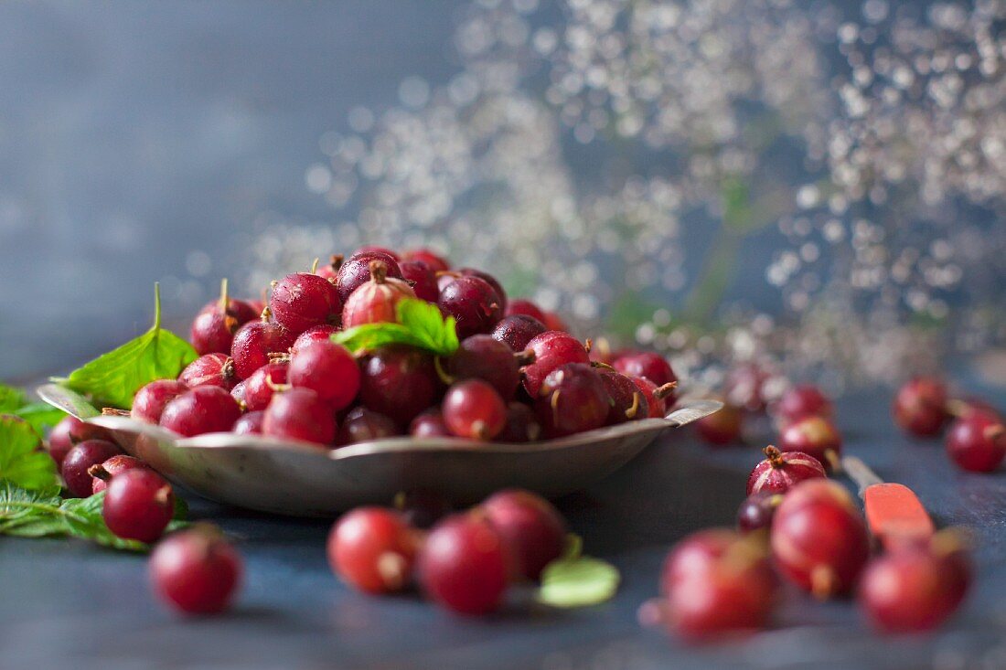 Red gooseberries in and around a metal bowl