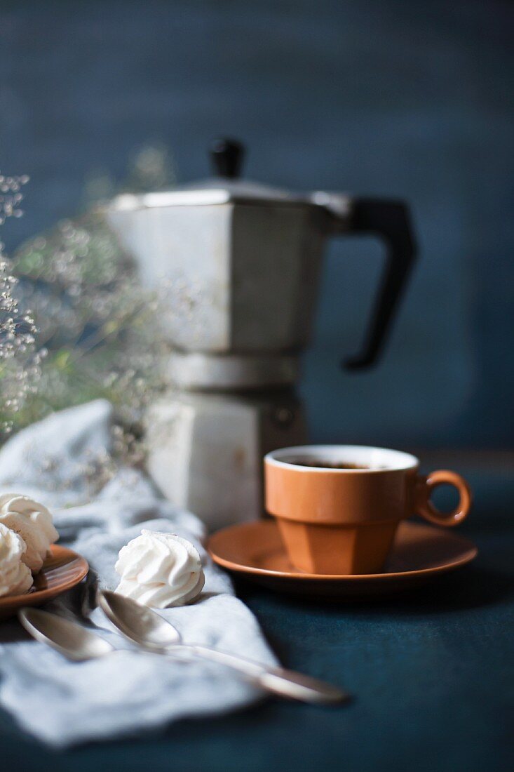 Espresso and meringue biscuits