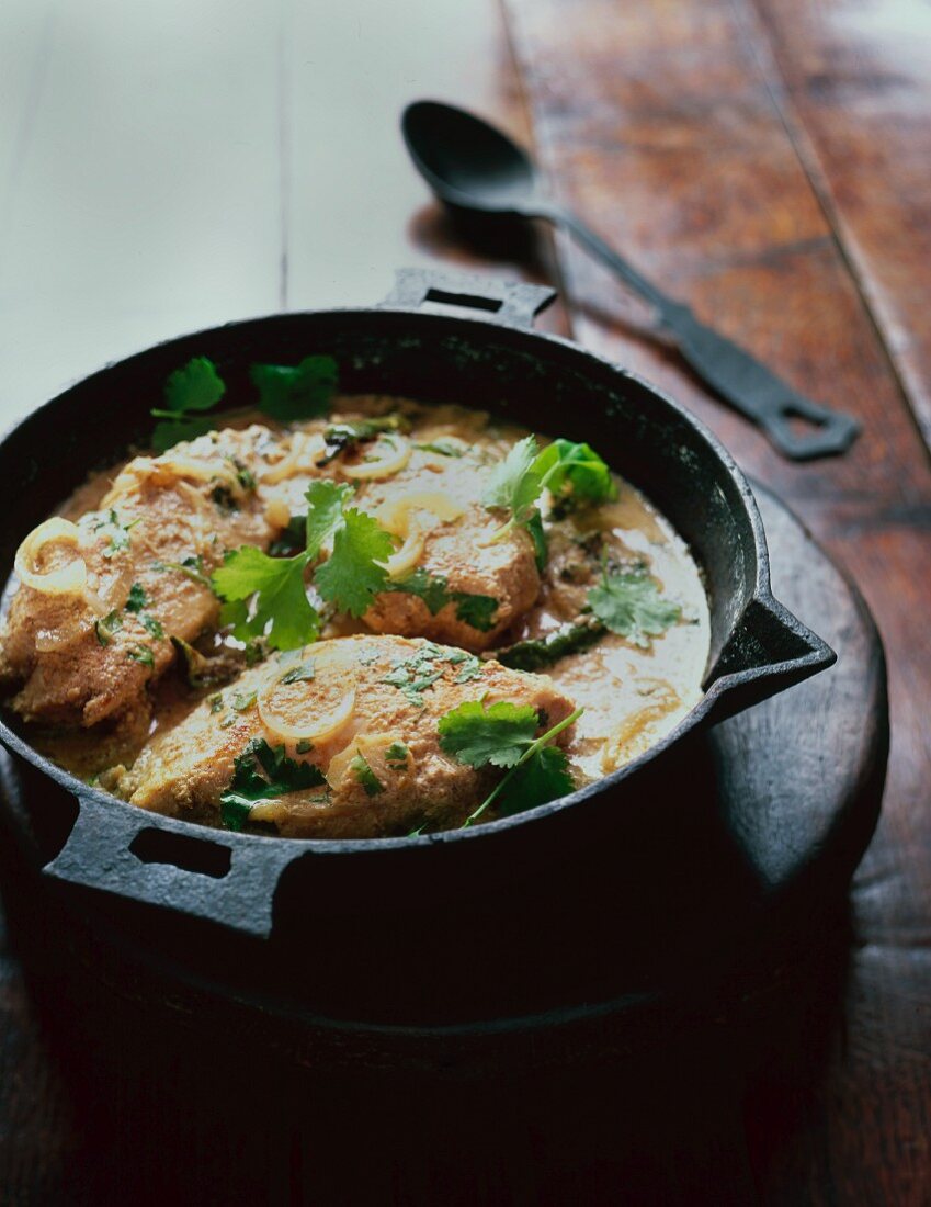 Chicken curry with coriander leaves